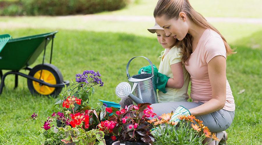 tuin-producten-slide-de-bondj-(1)